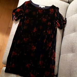 LOFT Size Small Velvet Dress